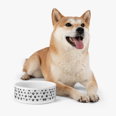 All4YourPet Brand Bowl