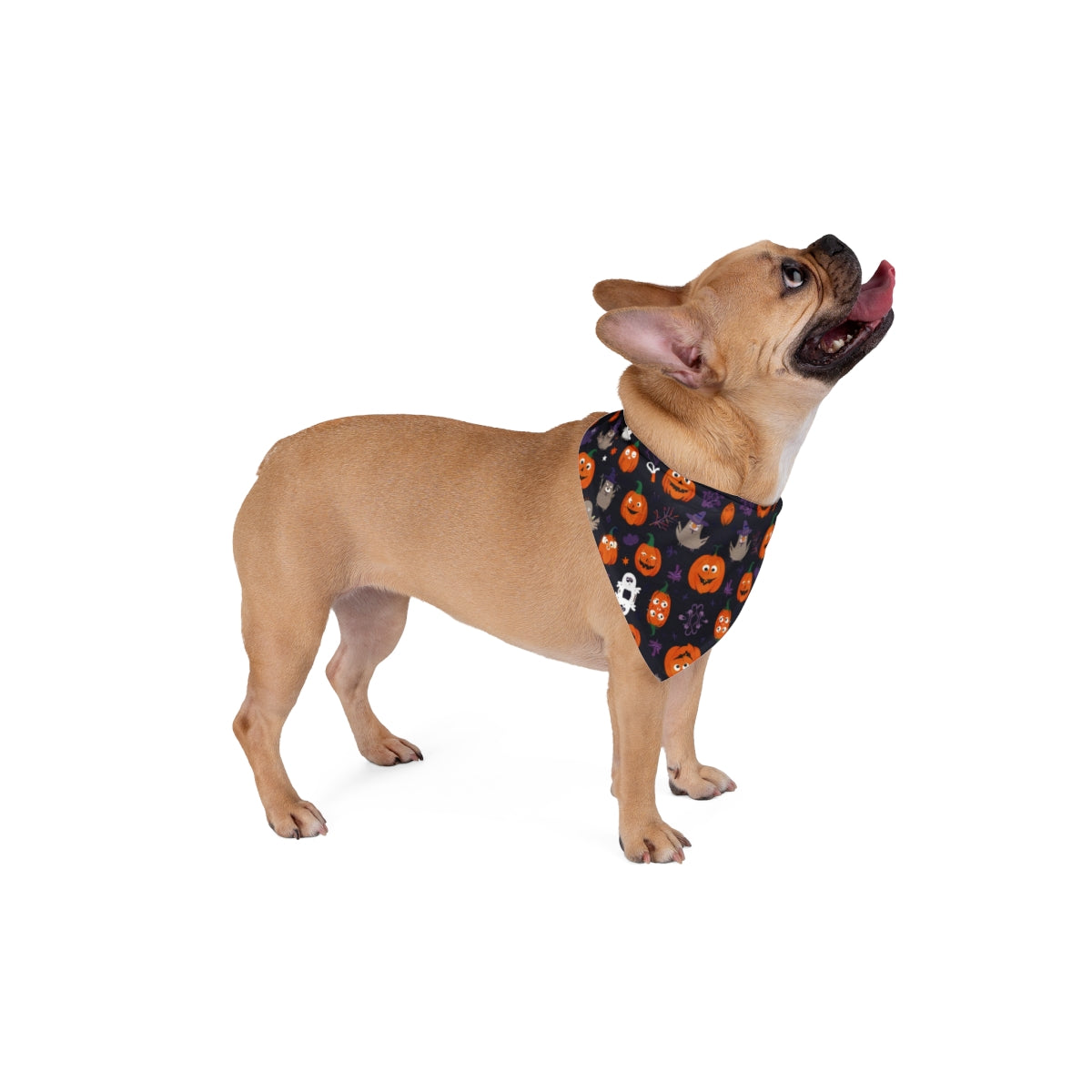 Pet Bandana - Scary Pumpking - Halloween Edition